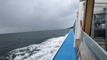 東尋坊観光遊覧船株式会社に投稿された画像（2023/11/1）