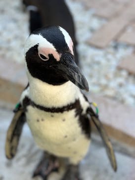 マリンワールド海の中道に投稿された画像（2023/11/1）