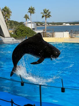 マリンワールド海の中道に投稿された画像（2023/11/1）