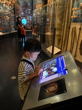 国立科学博物館に投稿された画像（2023/11/1）