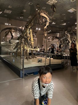 国立科学博物館に投稿された画像（2023/11/1）