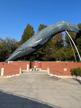 国立科学博物館に投稿された画像（2023/11/1）