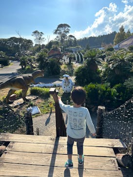 伊豆ぐらんぱる公園に投稿された画像（2023/11/1）