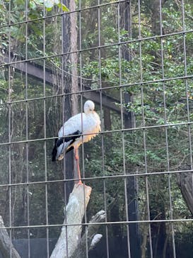 よこはま動物園ズーラシアに投稿された画像（2023/11/1）