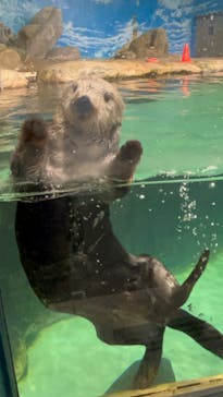 マリンワールド海の中道に投稿された画像（2023/11/1）
