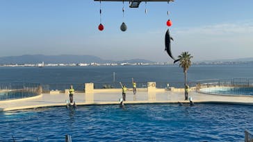 マリンワールド海の中道に投稿された画像（2023/11/1）