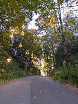 ムーミンバレーパークに投稿された画像（2023/11/1）