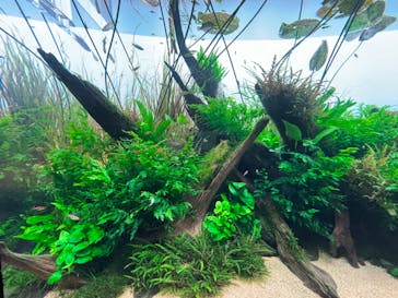 AOAO SAPPOROに投稿された画像（2023/11/1）