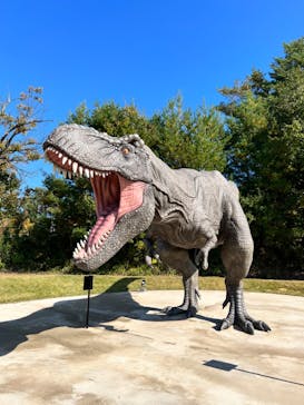 福井県立恐竜博物館に投稿された画像（2023/11/1）