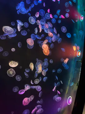 すみだ水族館に投稿された画像（2023/11/1）