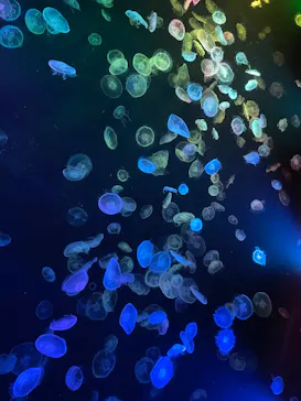 すみだ水族館に投稿された画像（2023/11/1）