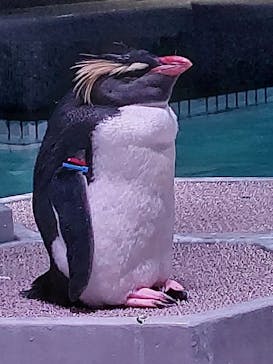 AOAO SAPPOROに投稿された画像（2023/11/1）