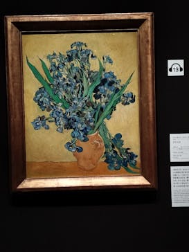 ゴッホと静物画　伝統から革新へ（SＯＭＰＯ美術館）に投稿された画像（2023/11/1）