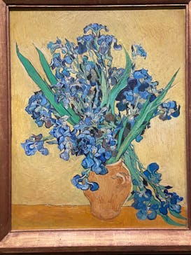 ゴッホと静物画　伝統から革新へ（SＯＭＰＯ美術館）に投稿された画像（2023/11/1）