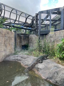 沖縄こどもの国に投稿された画像（2023/11/1）