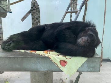 沖縄こどもの国に投稿された画像（2023/11/1）