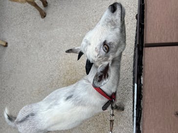 沖縄こどもの国に投稿された画像（2023/11/1）