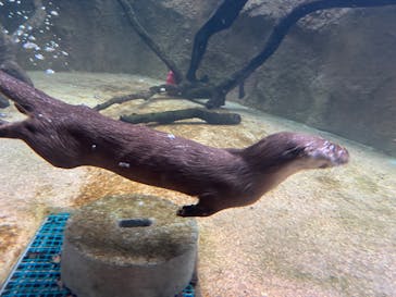 沖縄こどもの国に投稿された画像（2023/11/1）