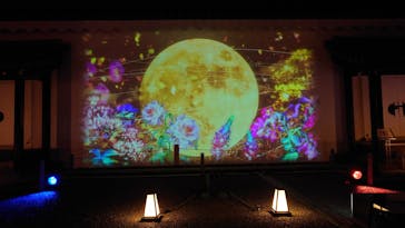 NAKED meets 二条城 2025 観月に投稿された画像（2023/11/1）