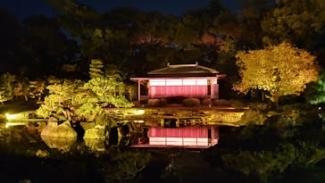 NAKED meets 二条城 2025 観月に投稿された画像（2023/11/1）