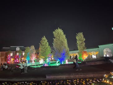 神戸イルミナージュに投稿された画像（2023/11/1）