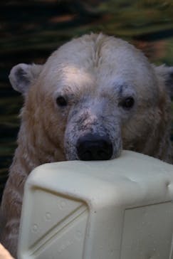 よこはま動物園ズーラシアに投稿された画像（2023/11/1）