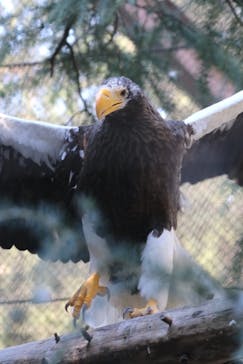 よこはま動物園ズーラシアに投稿された画像（2023/11/1）