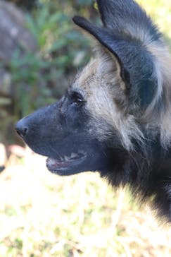 よこはま動物園ズーラシアに投稿された画像（2023/11/1）