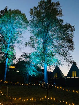 いばらきフラワーパークに投稿された画像（2023/11/1）