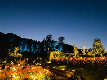 いばらきフラワーパークに投稿された画像（2023/11/1）