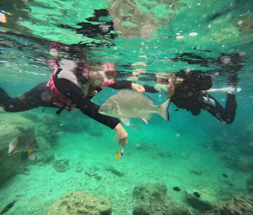 武藤潜水に投稿された画像（2023/11/2）