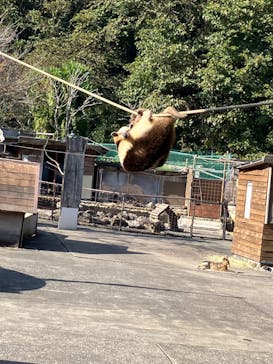 伊豆アニマルキングダムに投稿された画像（2023/11/2）