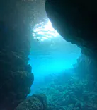 武藤潜水に投稿された画像（2023/11/2）