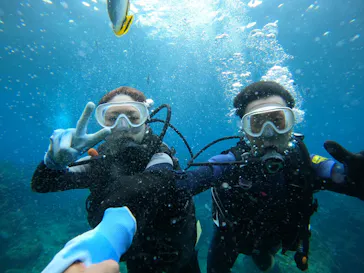 武藤潜水に投稿された画像（2023/11/2）