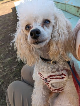 つくばわんわんランドに投稿された画像（2023/11/2）