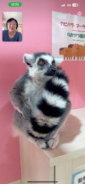 アニタッチアクアシティお台場に投稿された画像（2023/11/2）