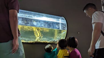 カワスイ 川崎⽔族館に投稿された画像（2023/11/2）