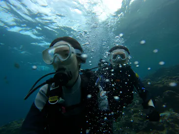 武藤潜水に投稿された画像（2023/11/2）