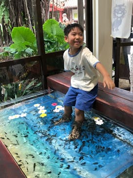 おきなわワールドに投稿された画像（2023/11/2）