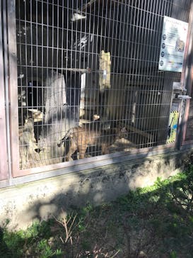 名古屋市東山動植物園に投稿された画像（2023/11/2）