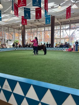 ノーザンホースパークに投稿された画像（2023/11/2）