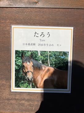 ノーザンホースパークに投稿された画像（2023/11/2）