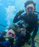 武藤潜水に投稿された画像（2023/11/2）