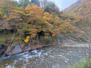 清津峡渓谷トンネルに投稿された画像（2023/11/2）