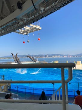 マリンワールド海の中道に投稿された画像（2023/11/2）