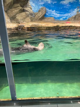 マリンワールド海の中道に投稿された画像（2023/11/2）