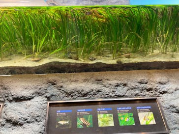 鴨川シーワールドに投稿された画像（2023/11/2）