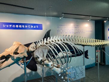 鴨川シーワールドに投稿された画像（2023/11/2）