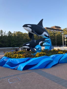 鴨川シーワールドに投稿された画像（2023/11/2）