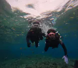 武藤潜水に投稿された画像（2023/11/2）